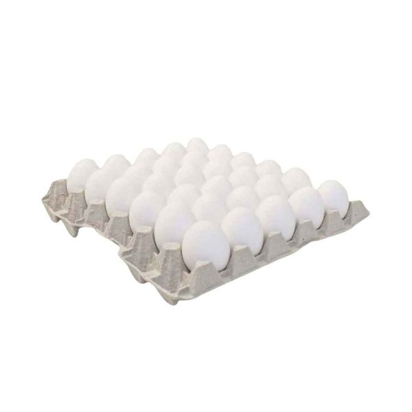 Arora White Eggs